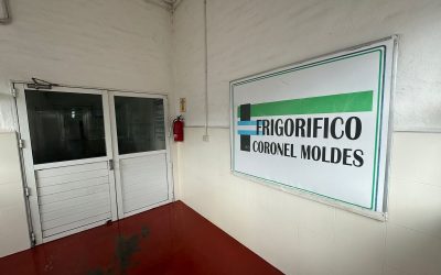 El frigorífico Coronel Moldes vende carne al mercado interno con la lógica de la exportación mientras espera las autorizaciones para acceder a los mercados mundiales