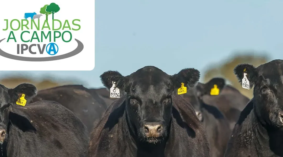 Nueva jornada a campo del IPCVA: será en General Alvear con entrada gratuita, pero con cupos limitados
