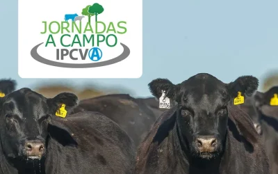 Nueva jornada a campo del IPCVA: será en General Alvear con entrada gratuita, pero con cupos limitados