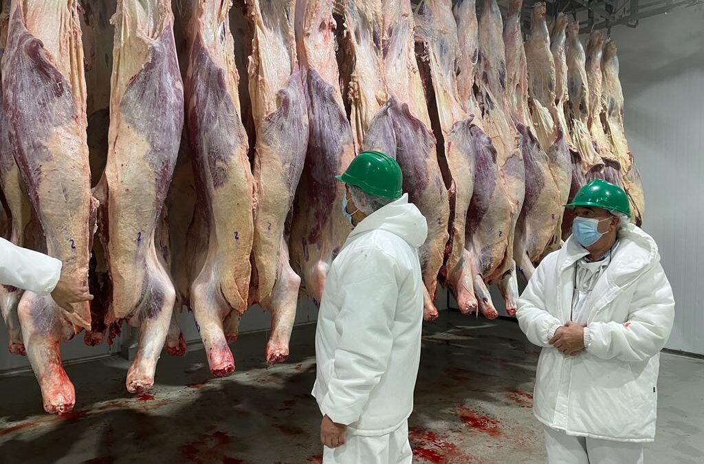 Trazabilidad ganadera: Los frigoríficos tendrán hasta el 1° de julio para adecuar sus sistemas para leer las caravanas electrónicas y evitar su pérdida