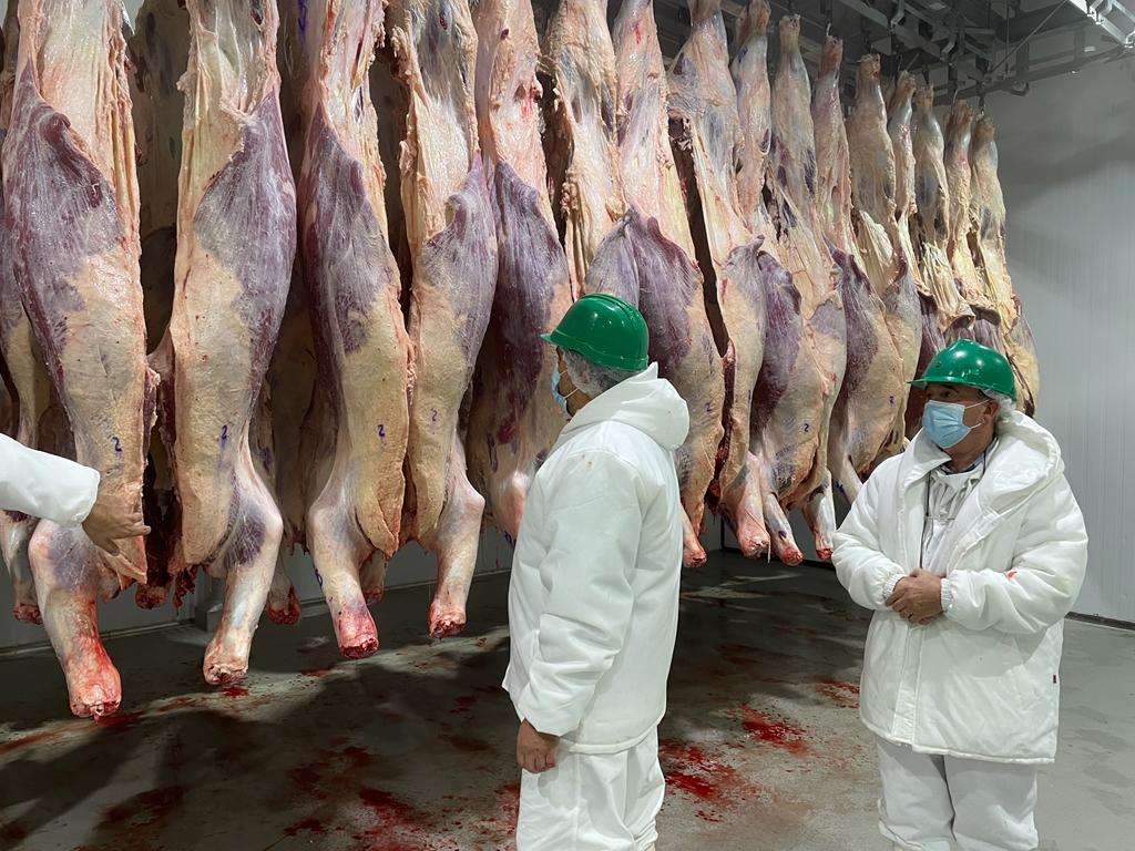 ngo-illustration-Artboard 5