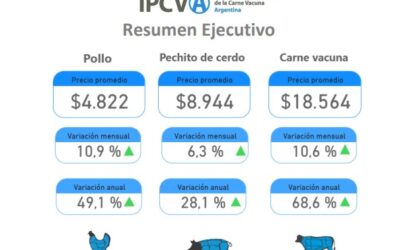 En marzo la carne vacuna subió 10,6% porque se siguió trasladando la suba del ganado para la faena y que industriales y comerciantes no puede absorber