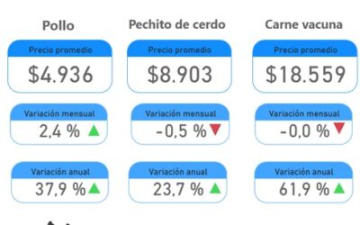 Bajó el precio de la hacienda y también el de la carne vacuna