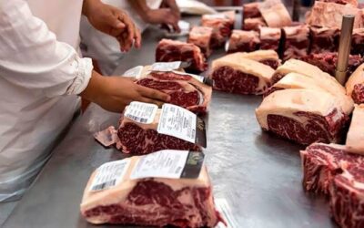 Exportaciones de carne vacuna