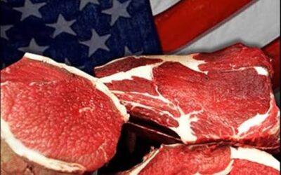 Argentina cumplió con el 61% de la cuota de Estados Unidos donde el USDA se prevé menos producción de carne este año