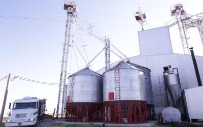 De las granjas al frigorífico: la familia Bouzada proyecta nuevas inversiones y una faena propia para ganar escala en el negocio porcino
