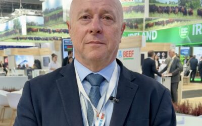 El mercado mundial está ávido de la carne vacuna argentina, para aprovechar esa demanda se requiere de estabilidad económica, jurídica y competitividad